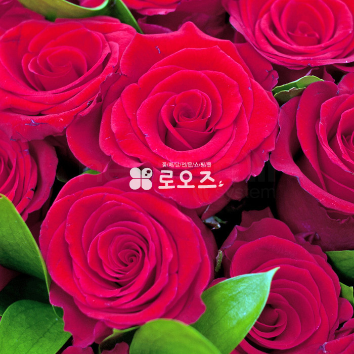 상세이미지