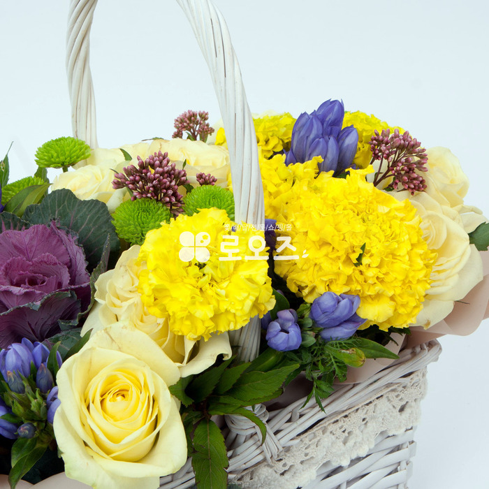 상세이미지