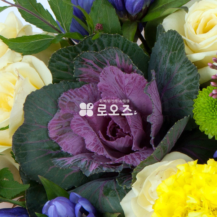 상세이미지