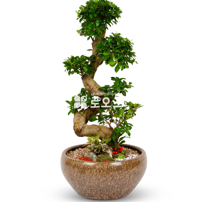 상세이미지