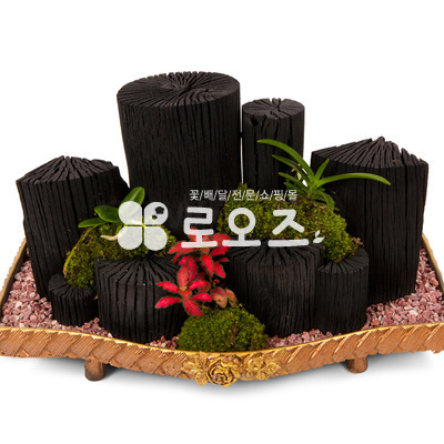 숯부작