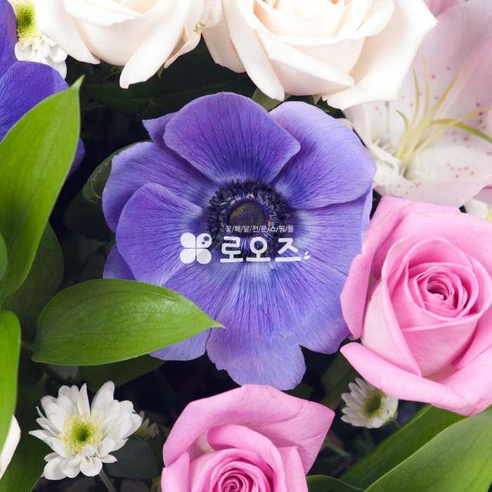 상세이미지