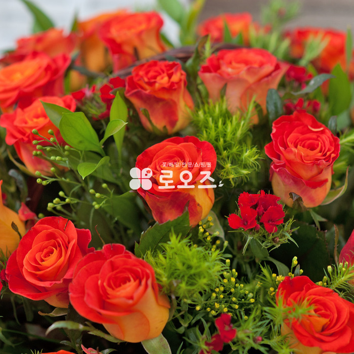 상세이미지