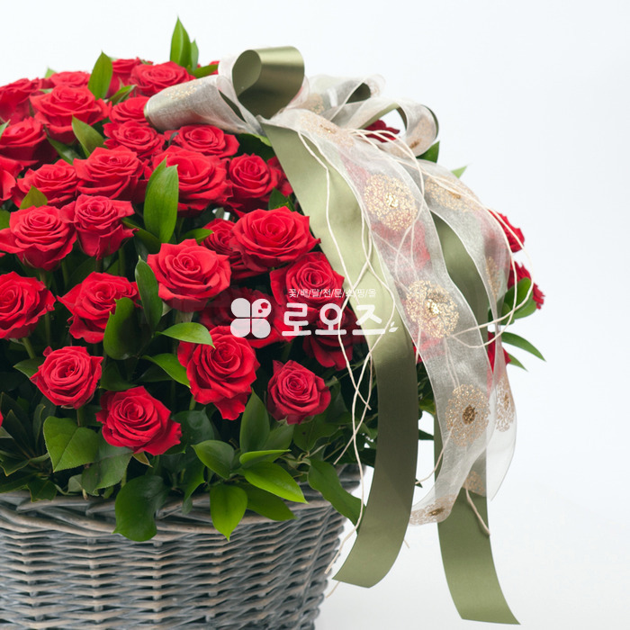 상세이미지