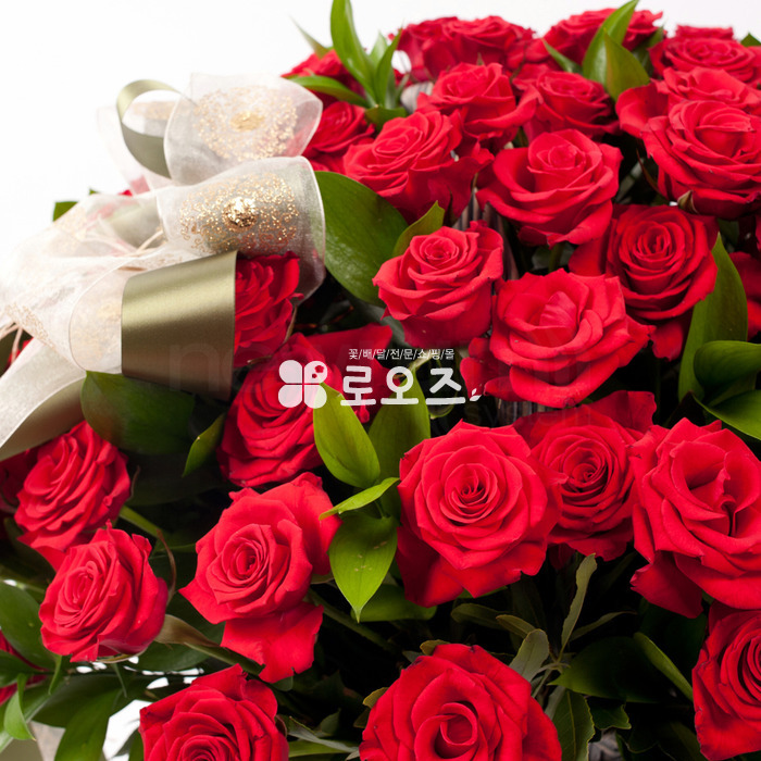 상세이미지