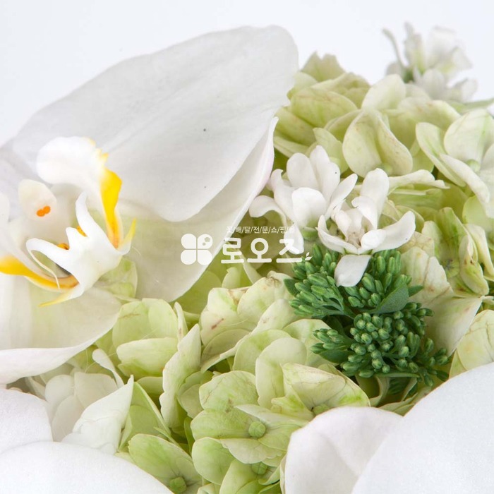 상세이미지