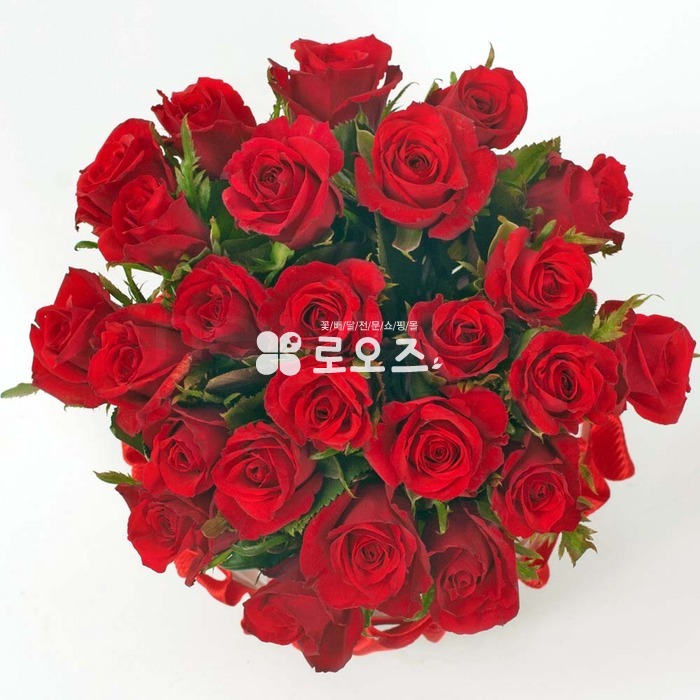 상세이미지