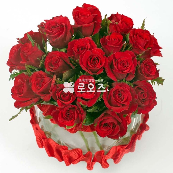 상세이미지