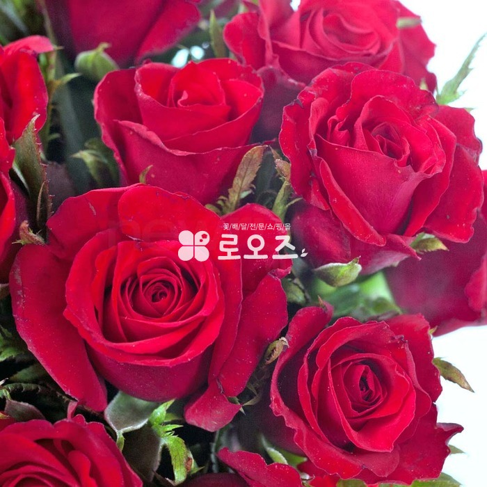 상세이미지