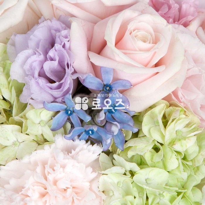 상세이미지