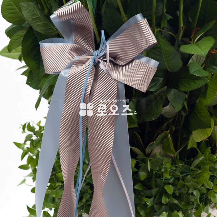 상세이미지