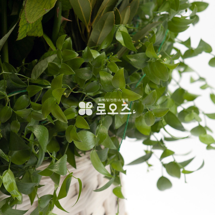 상세이미지