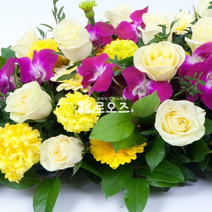 상세이미지