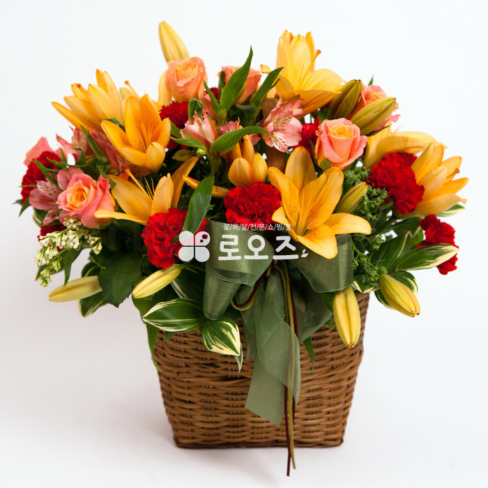상세이미지