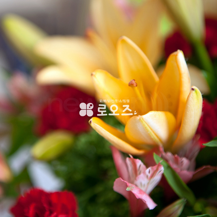 상세이미지