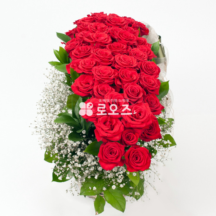 상세이미지