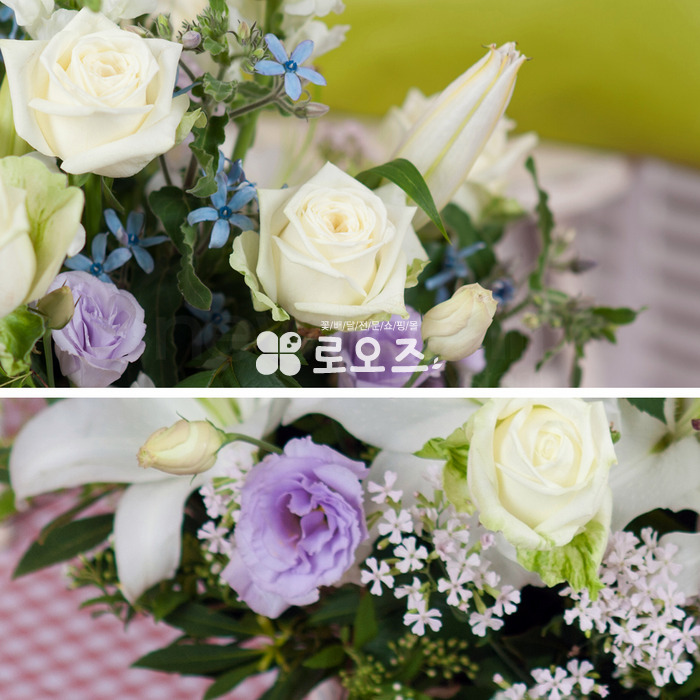 상세이미지