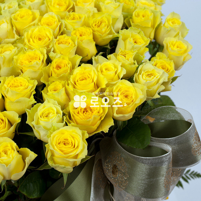 상세이미지