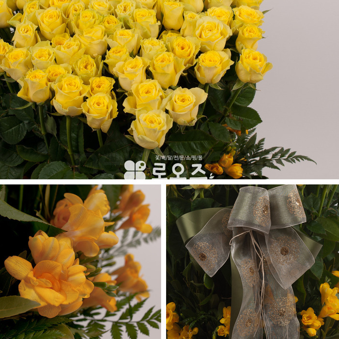 상세이미지