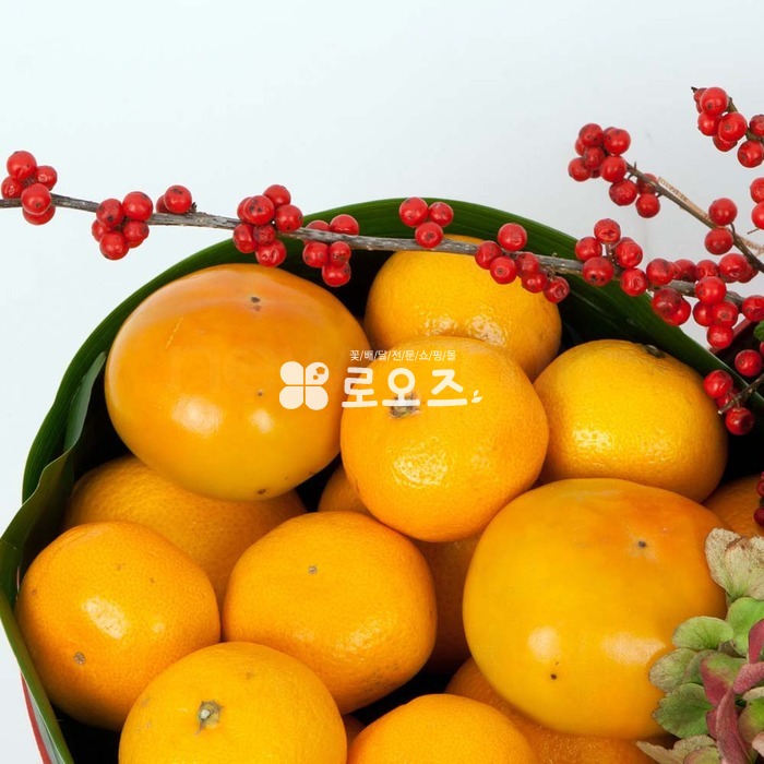 상세이미지