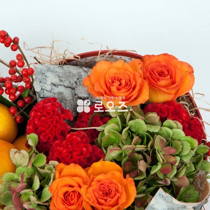 상세이미지