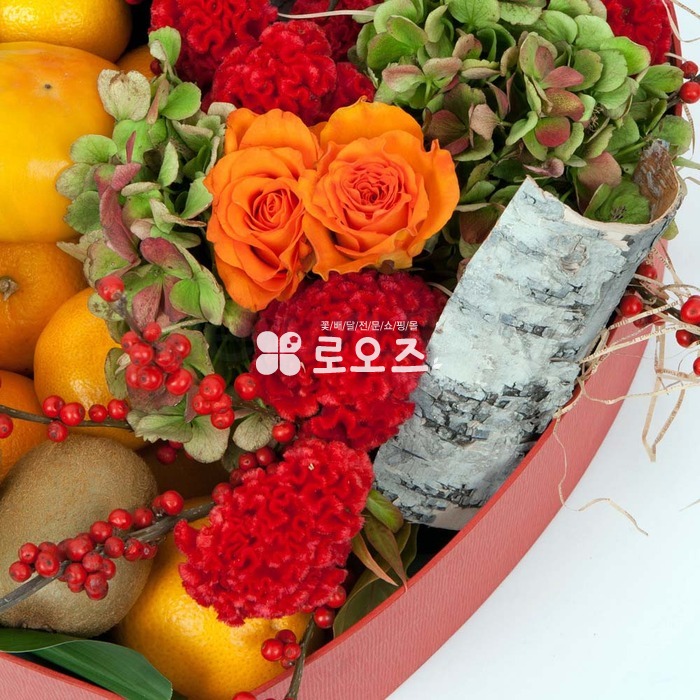 상세이미지