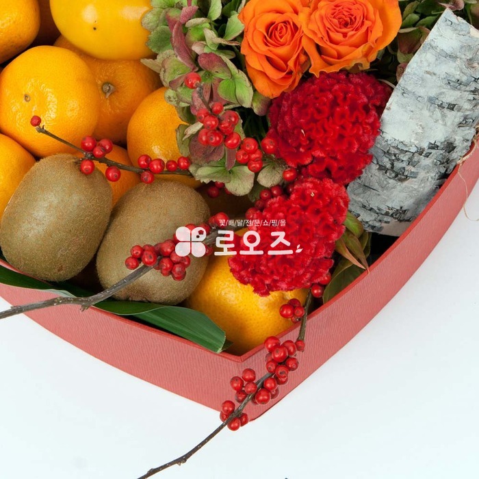 상세이미지