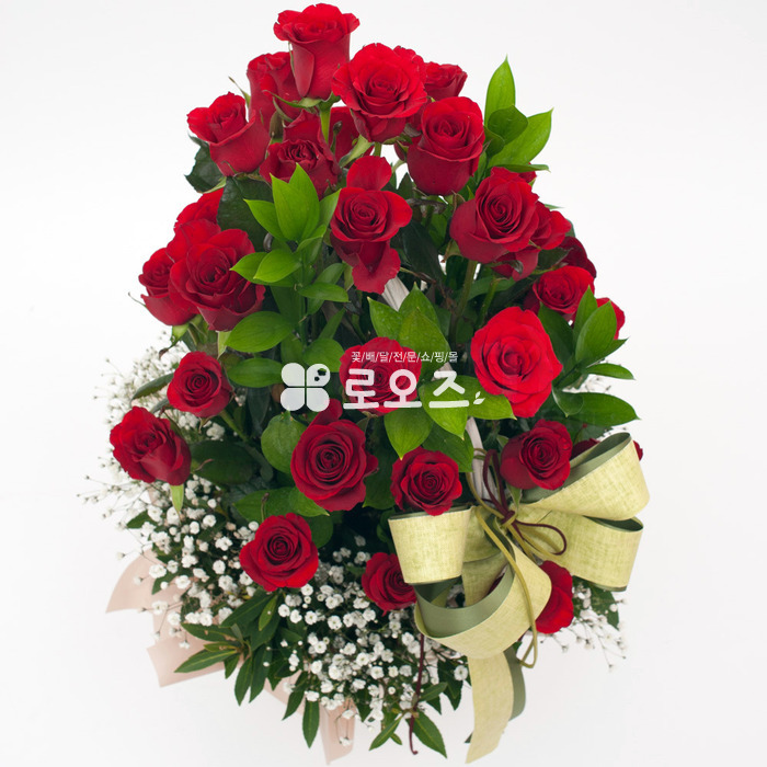 상세이미지