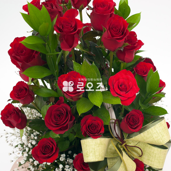상세이미지