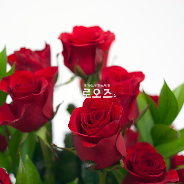 상세이미지