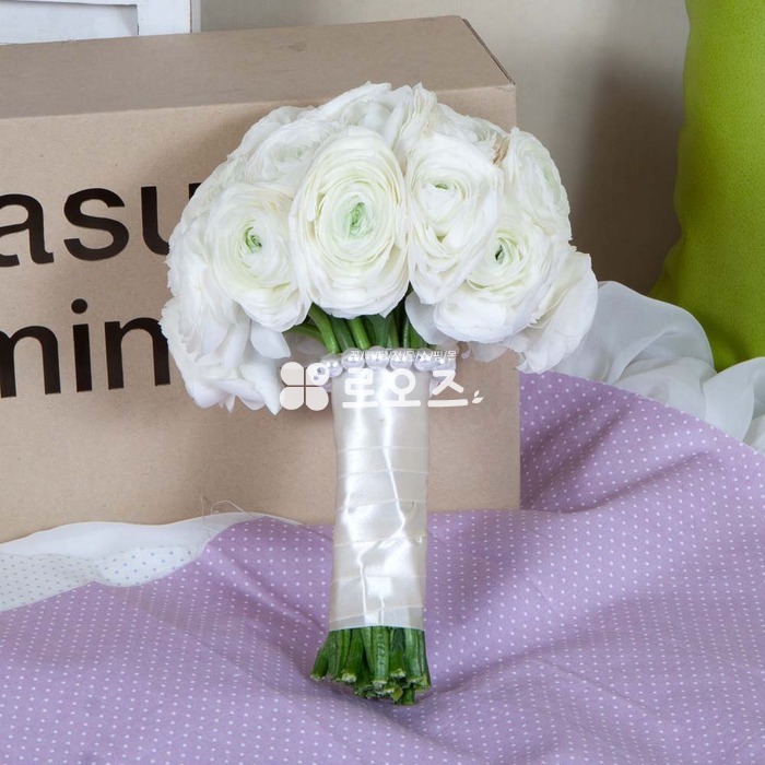 상세이미지