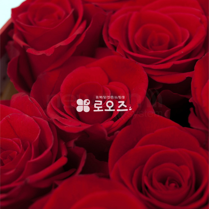 상세이미지