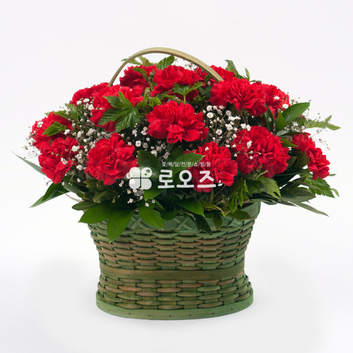 상세이미지