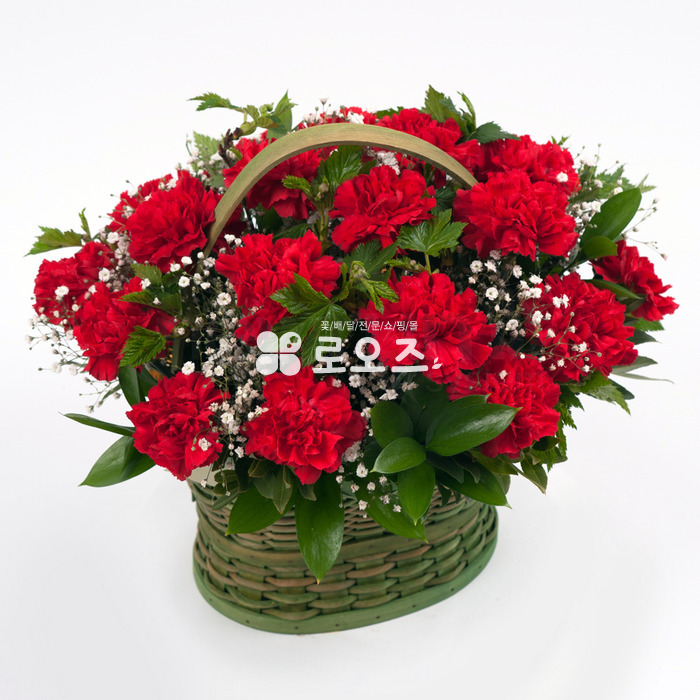 상세이미지