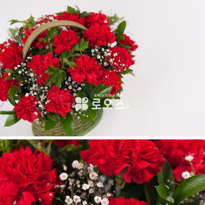 상세이미지