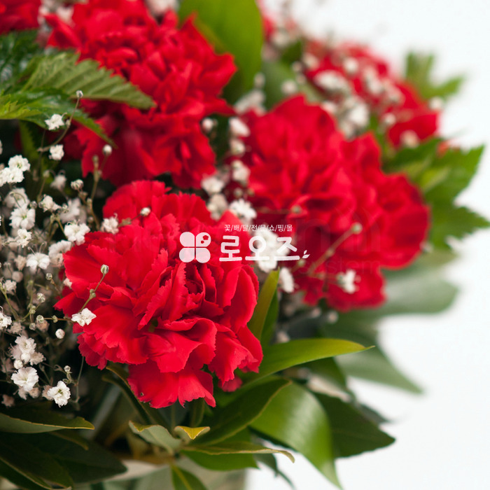 상세이미지