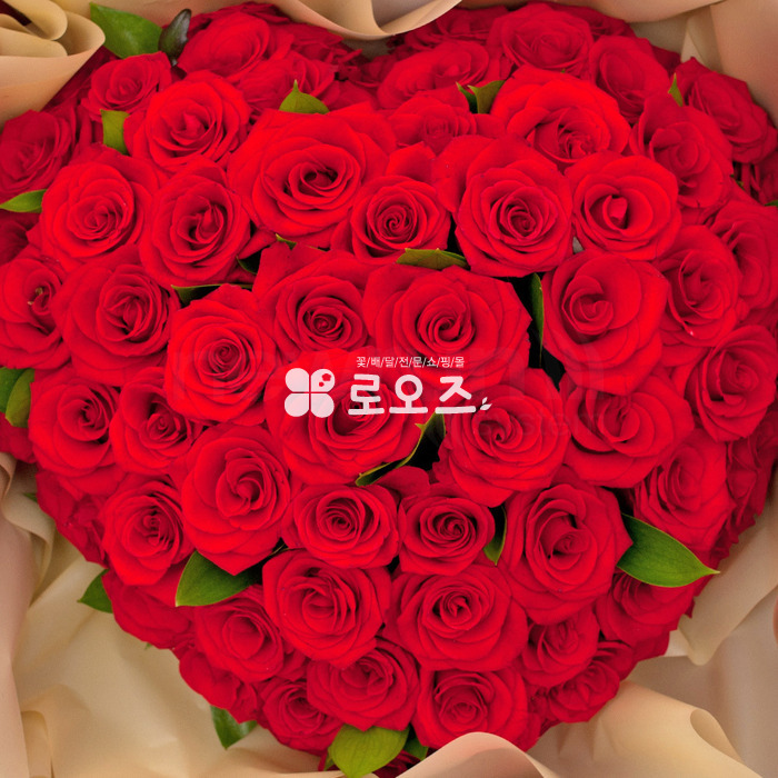 상세이미지