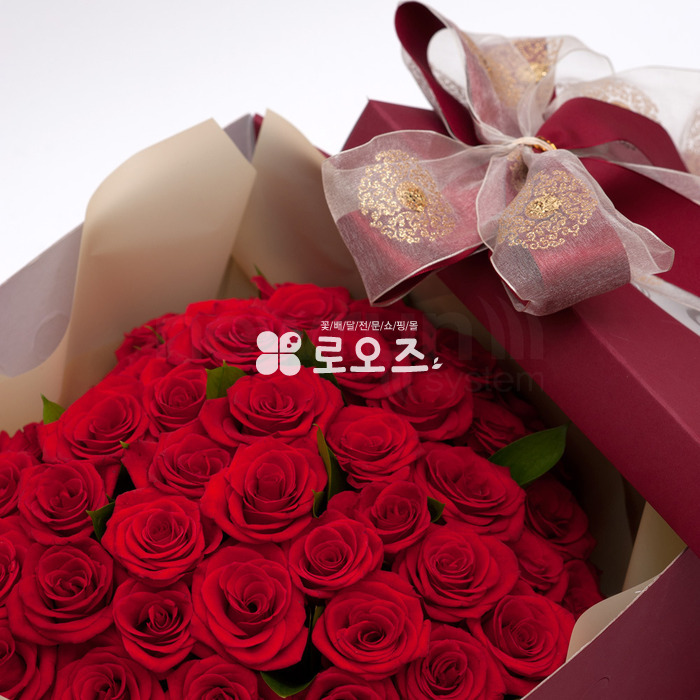 상세이미지