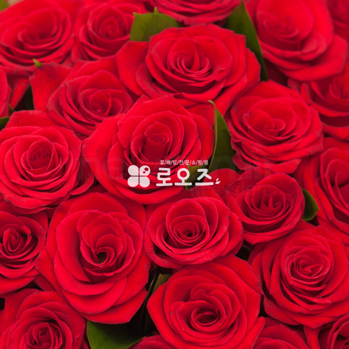 상세이미지