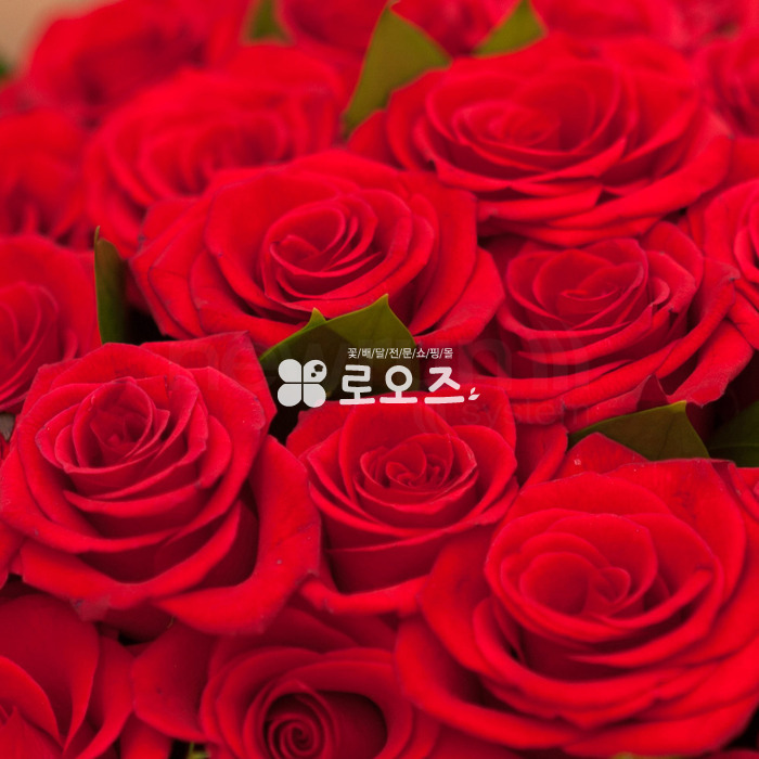 상세이미지