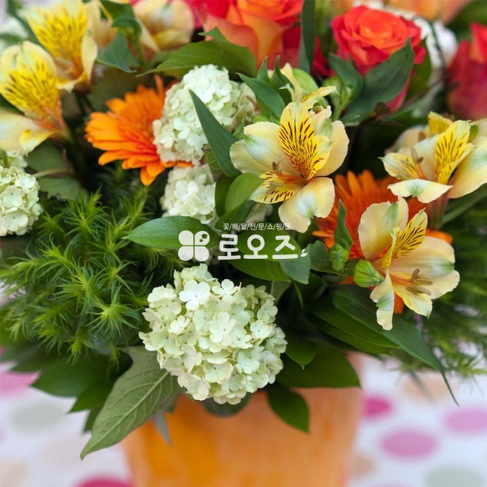 상세이미지