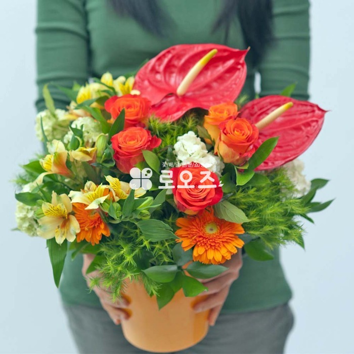 상세이미지