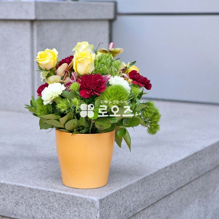 상세이미지