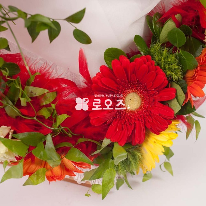 상세이미지