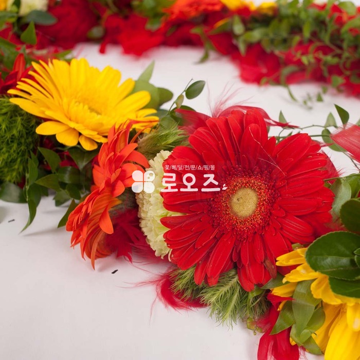 상세이미지