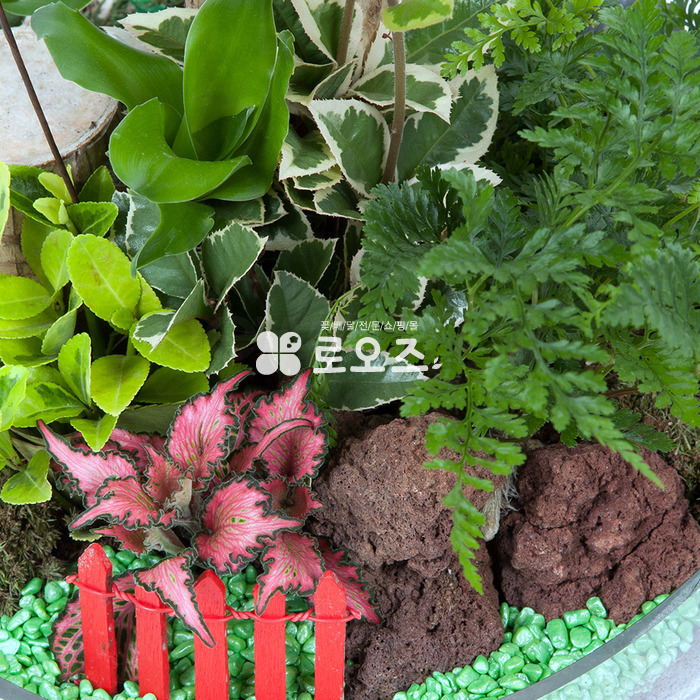 상세이미지