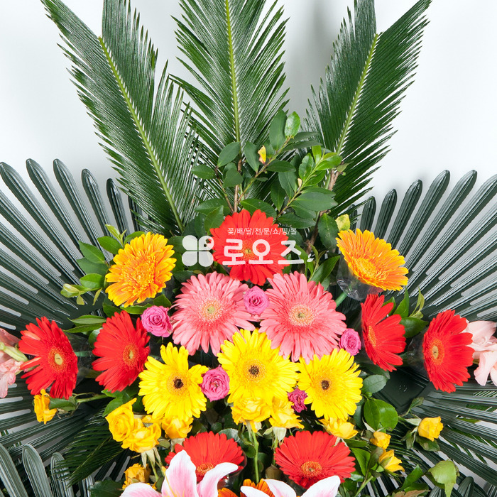 상세이미지