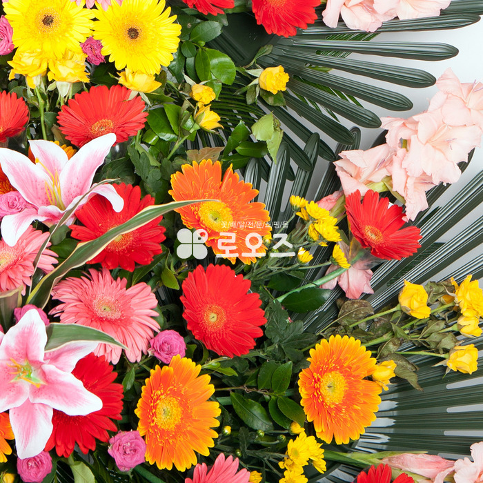 상세이미지