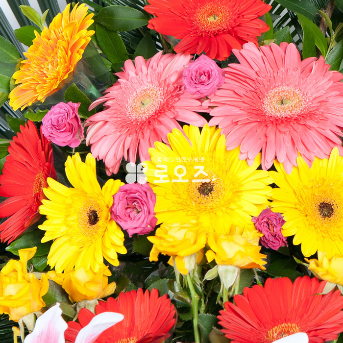 상세이미지
