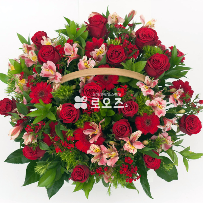 상세이미지